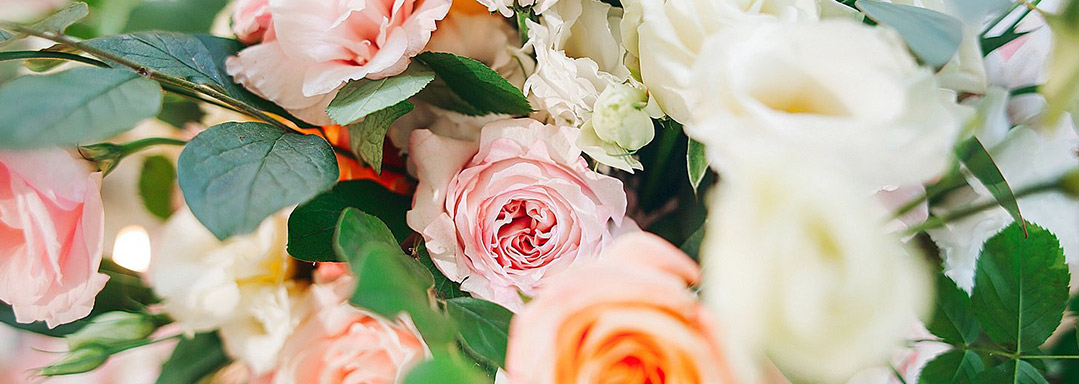 Как продлить жизнь букетам? Как продлить жизнь букетам?